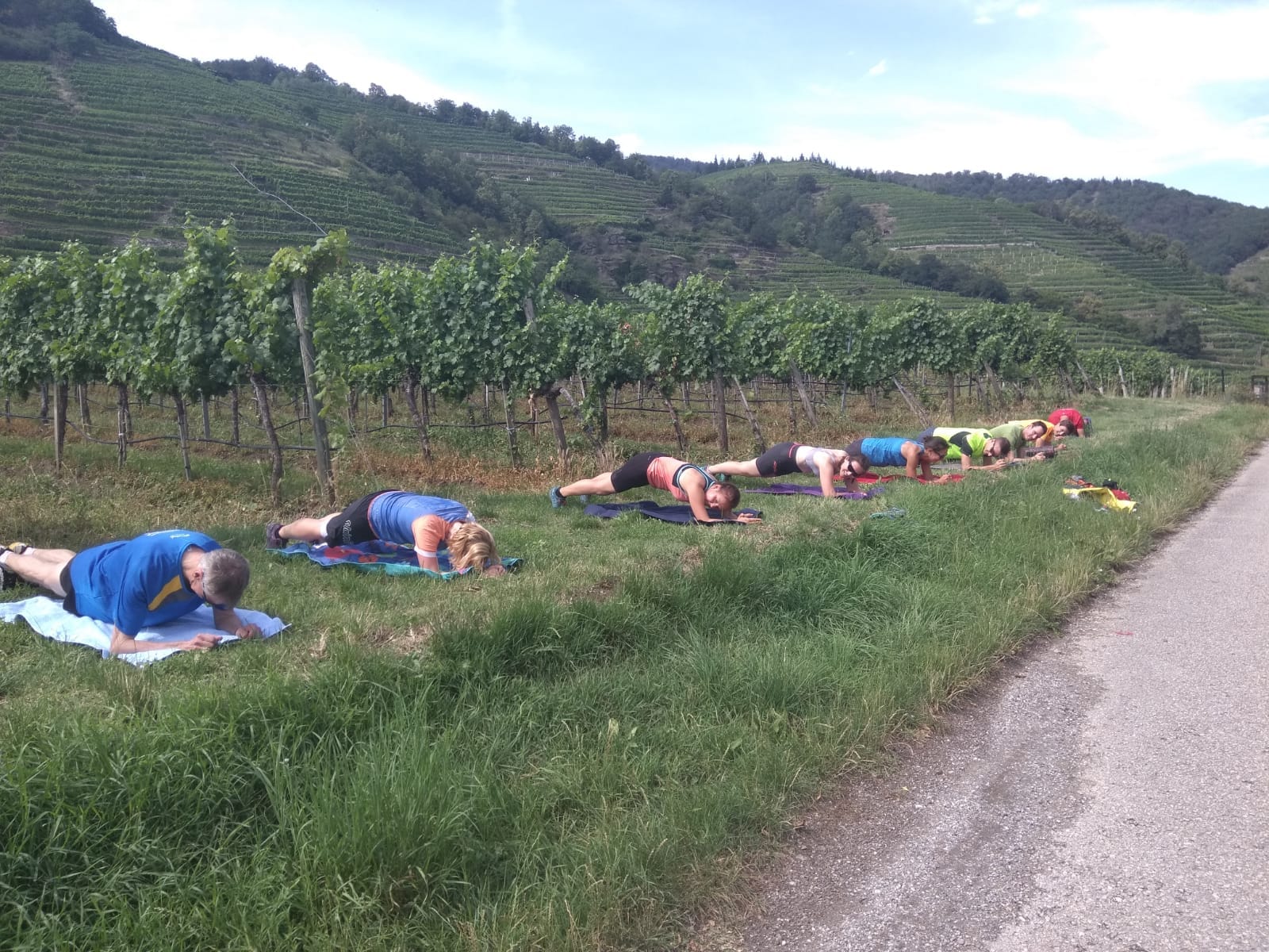 Plankende Läufer im Weingarten (Wachau)